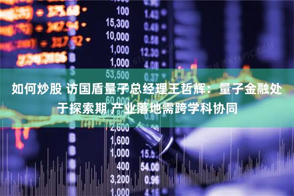 如何炒股 访国盾量子总经理王哲辉：量子金融处于探索期 产业落地需跨学科协同